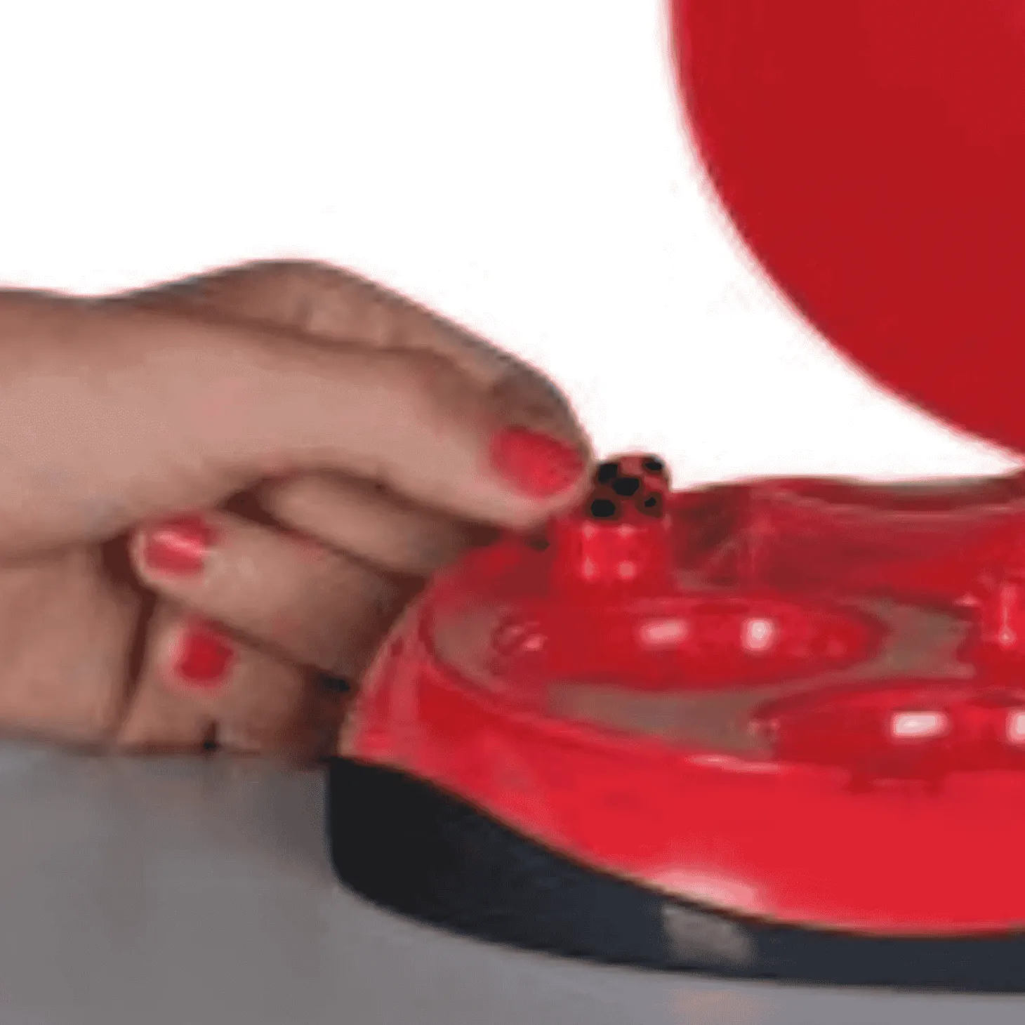 Soy Ladybug Decora Tu Pelo