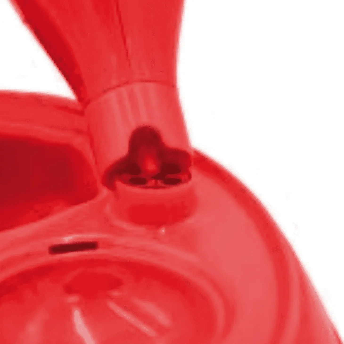 Soy Ladybug Decora Tu Pelo