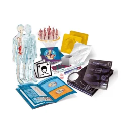 Superanatomía Ciencia Y Juego