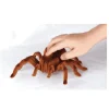 Tarántula Radio Control