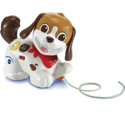 Vtech Perrito infantil de arrastre Paseos y aventuras